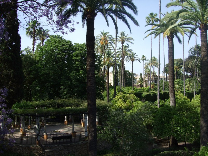 Anadalusien 2009 - 0763 